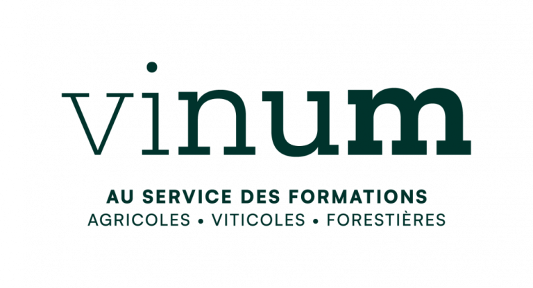Image d'illustration Vinum